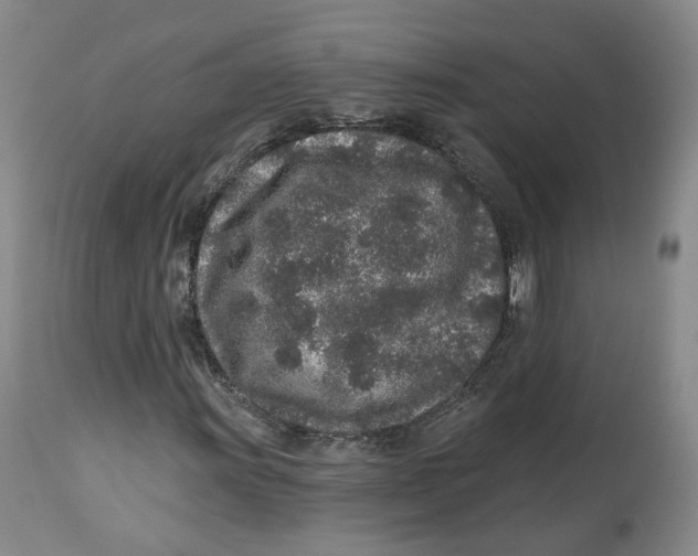 X0000112521011200909141218