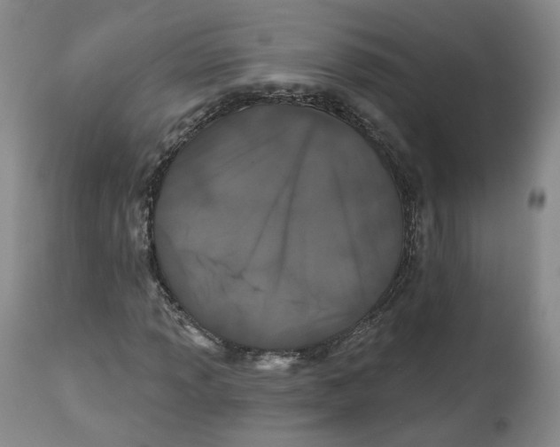 X0000112521013200909141218