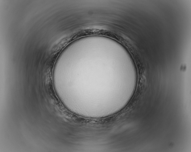 X0000112521014200909141218