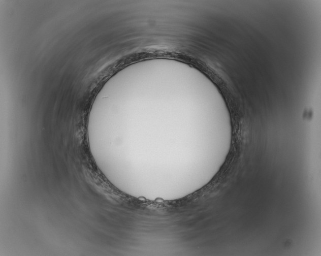 X0000112521015200909141218