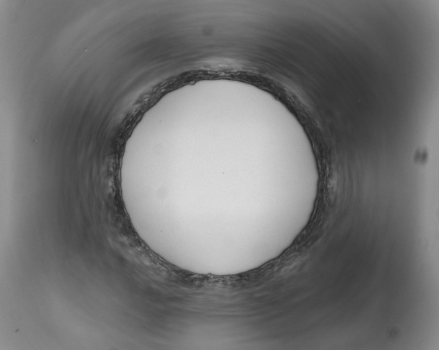 X0000112521016200909141218