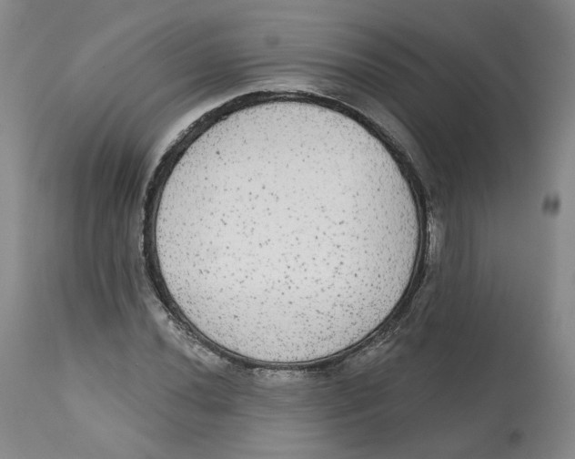 X0000112521020200909141218