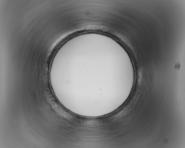 X0000112521021200909141218