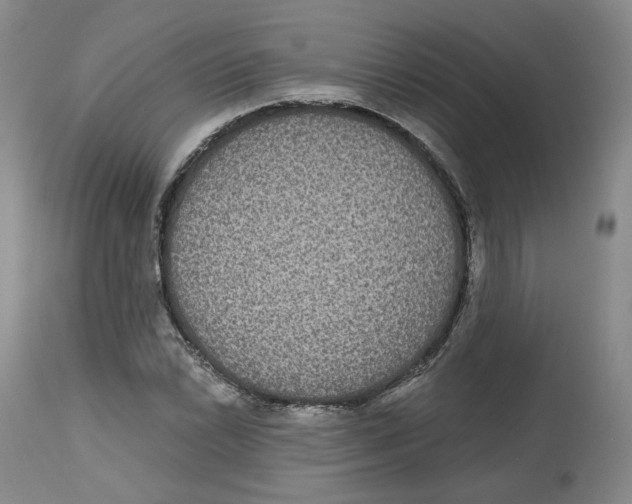 X0000112521022200909141218