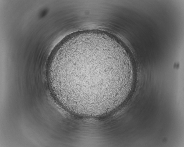 X0000112521023200909141218