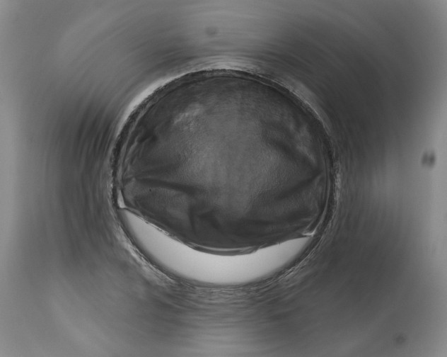 X0000112521024200909141218