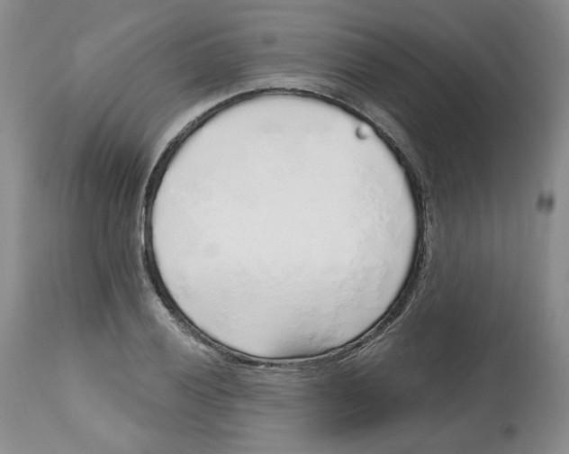 X0000112521028200909141218