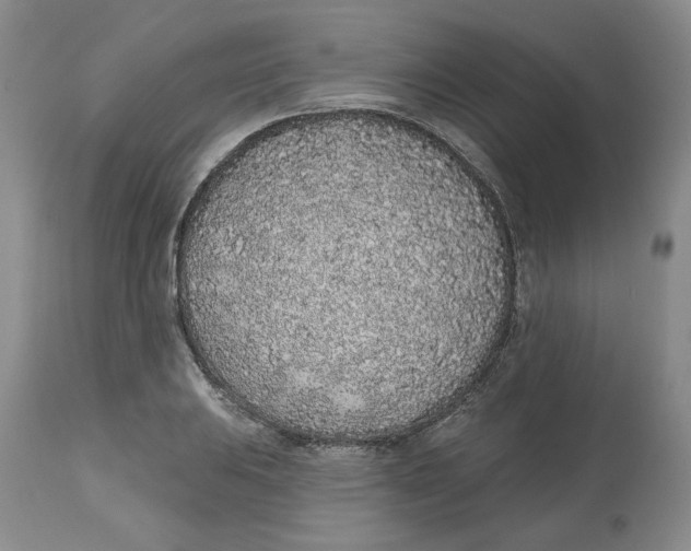 X0000112521031200909141218