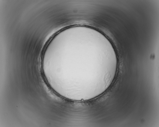 X0000112521032200909141218