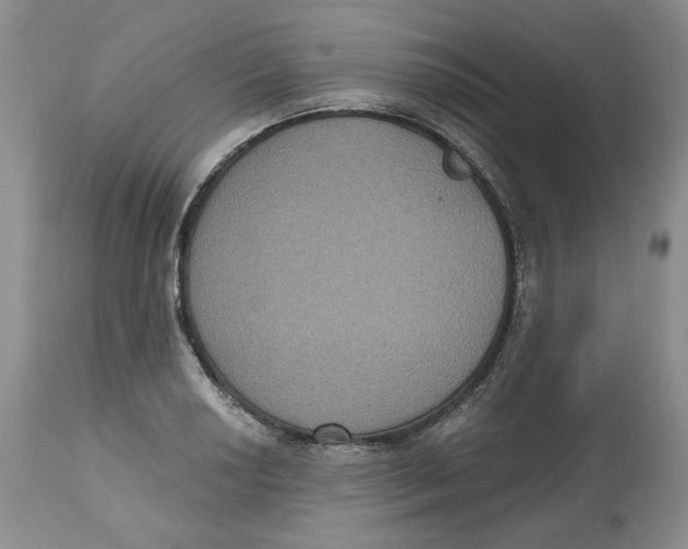 X0000112521034200909141218
