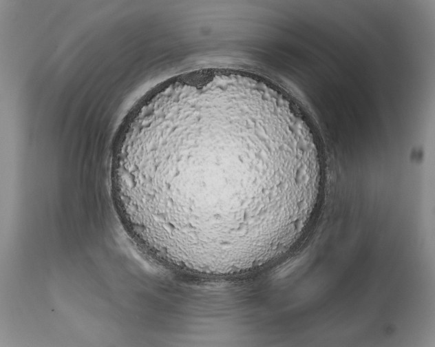 X0000112521035200909141218