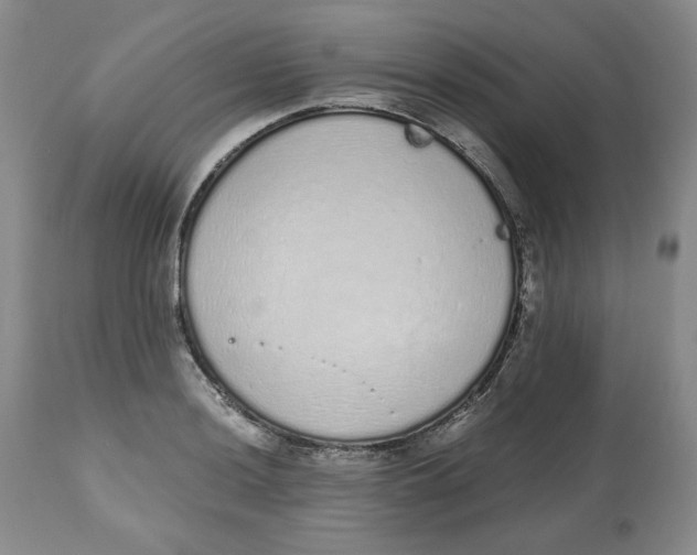 X0000112521036200909141218