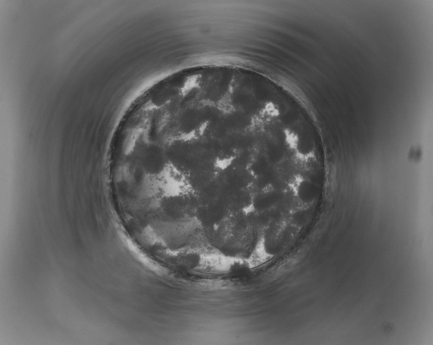X0000112521037200909141218