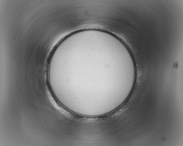 X0000112521038200909141218