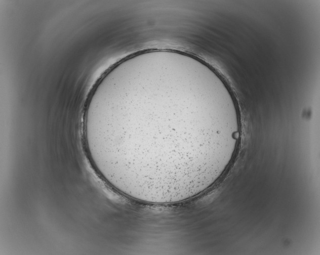 X0000112521040200909141218