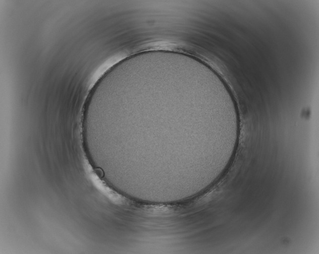 X0000112521042200909141218