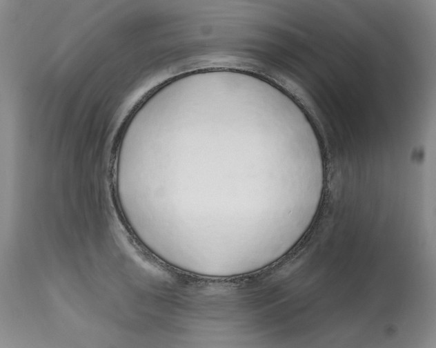 X0000112521043200909141218