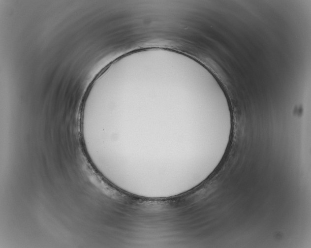 X0000112521044200909141218