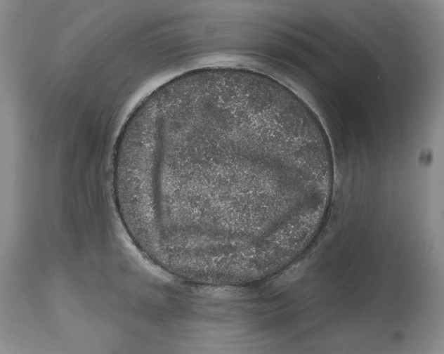 X0000112521045200909141218