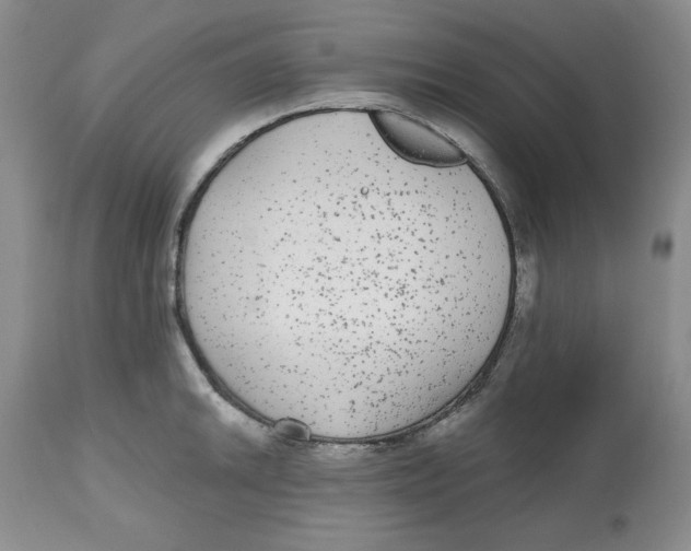 X0000112521046200909141218