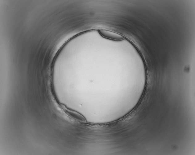 X0000112521048200909141218