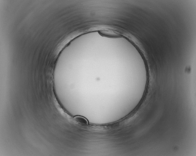 X0000112521049200909141218