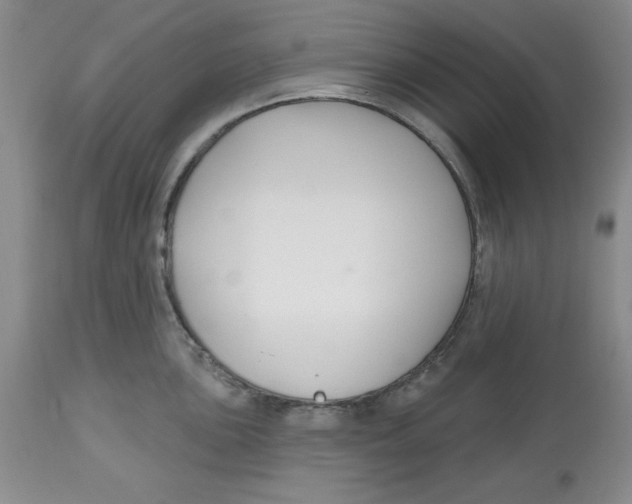 X0000112521051200909141218
