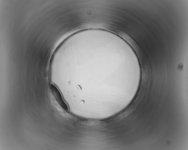 X0000112521052200909141218