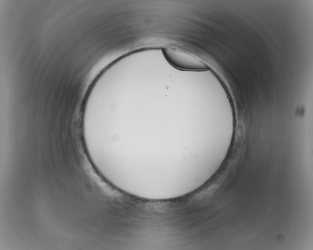 X0000112521053200909141218