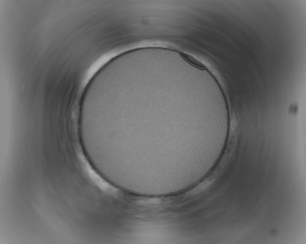 X0000112521054200909141218