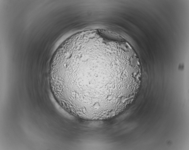 X0000112521055200909141218