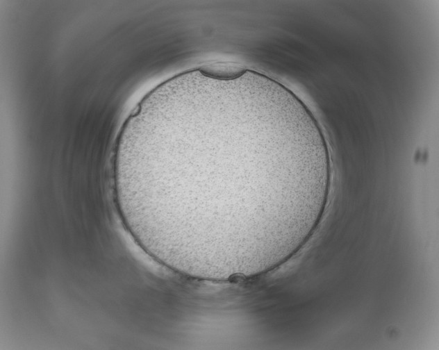 X0000112521056200909141218