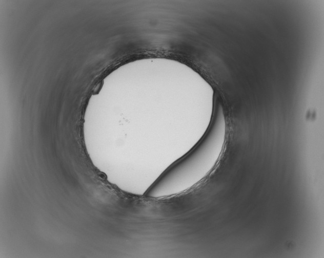 X0000112521057200909141218