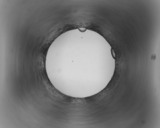 X0000112521058200909141217