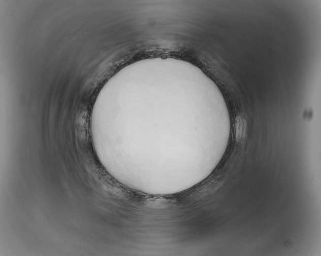 X0000112521059200909141217
