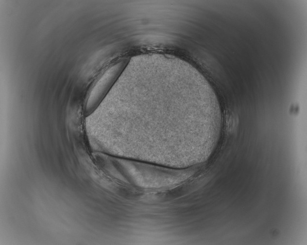 X0000112521060200909141217