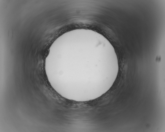 X0000112521061200909141217