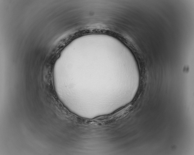X0000112521063200909141217