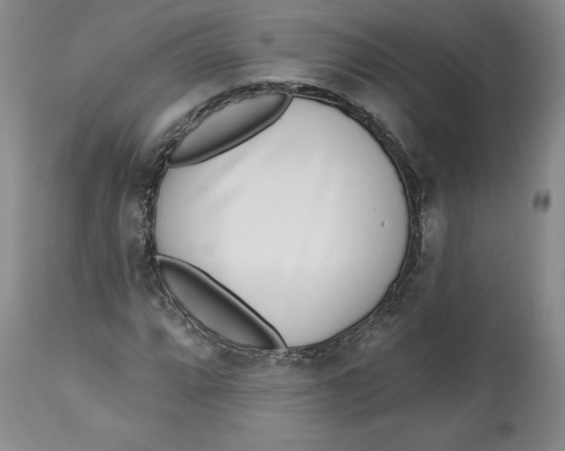 X0000112521064200909141217