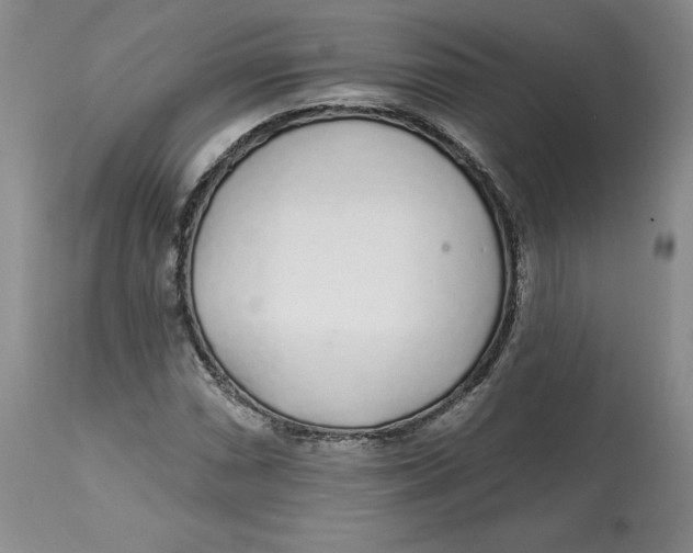 X0000112521066200909141217