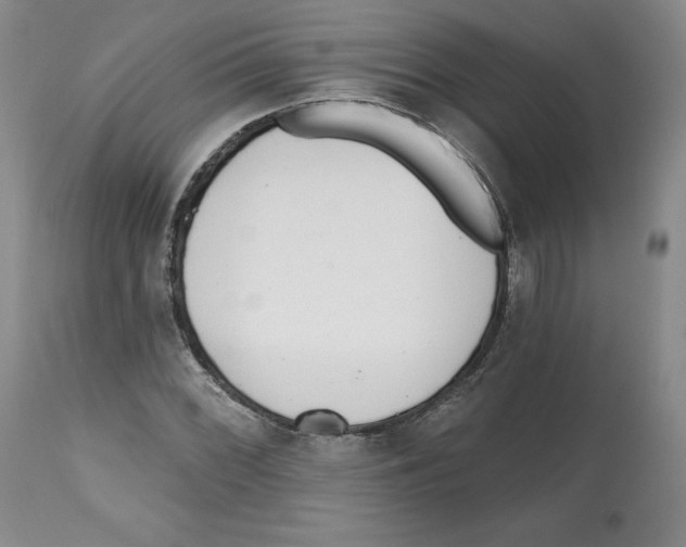 X0000112521068200909141217