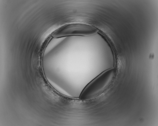 X0000112521069200909141217