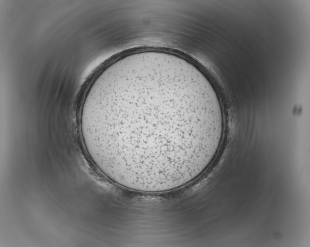 X0000112521070200909141217