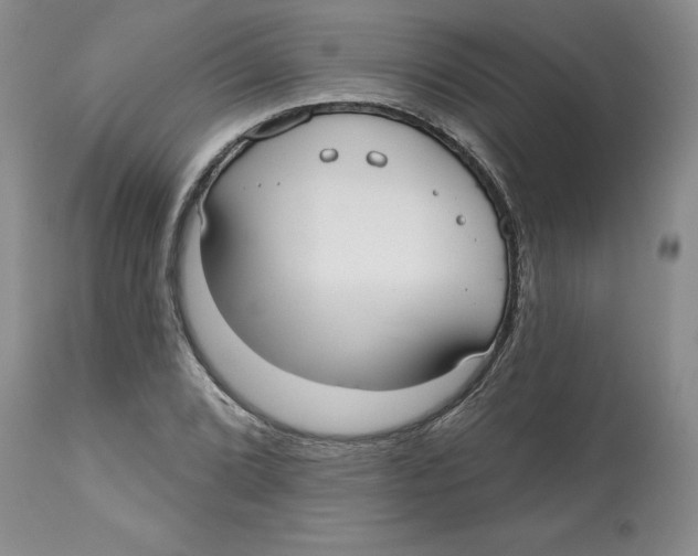 X0000112521072200909141217