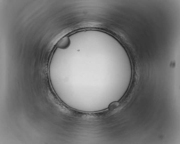 X0000112521073200909141217