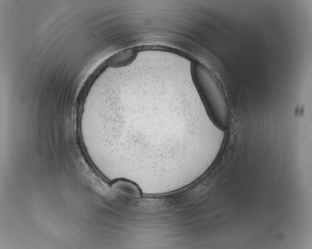 X0000112521076200909141217