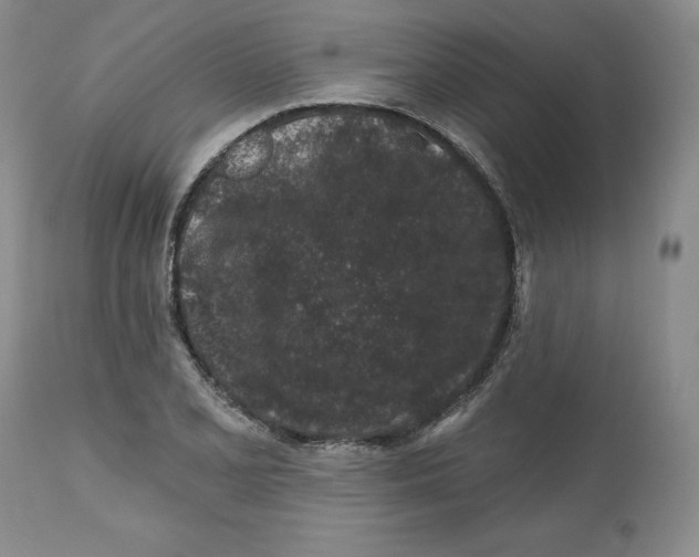 X0000112521077200909141217