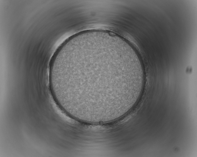 X0000112521079200909141217