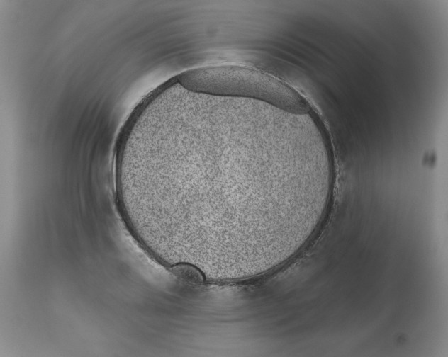 X0000112521080200909141217