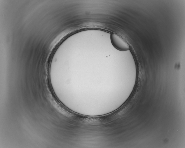 X0000112521082200909141217